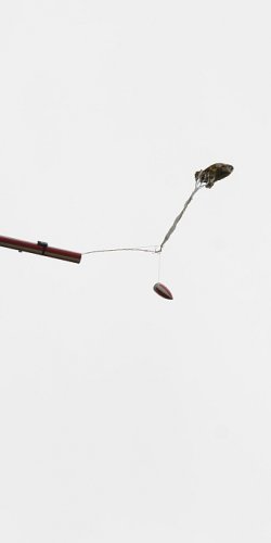 2013 Suche 29062013 Michal